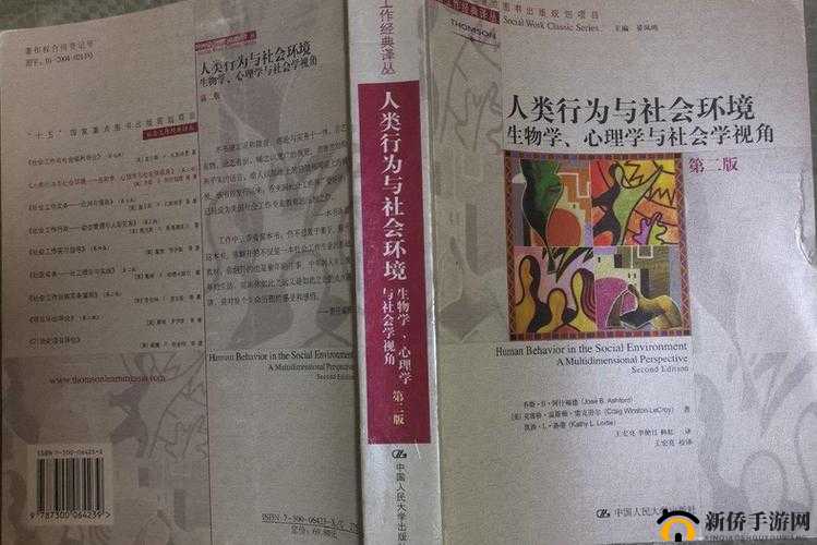 美国理论：探索人类行为和社会现象的新视角