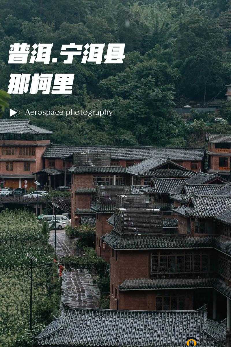 神秘的 37 大但人文 company，它的背后隐藏着怎样的故事？