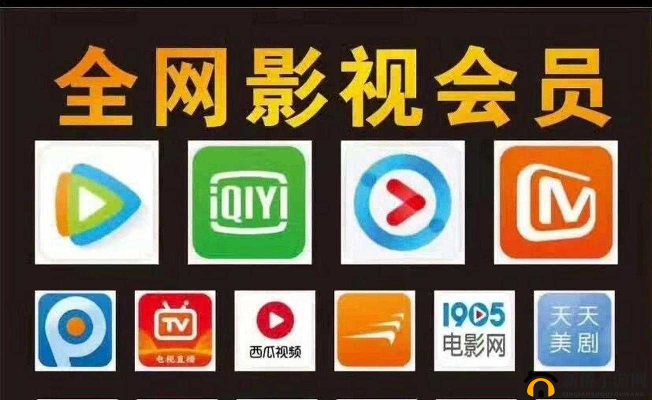 拥有海量影视资源的 51 影视大全，为何备受用户青睐？