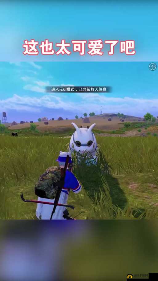 和平精英兔子超级跳与月兔飞天BUG详解