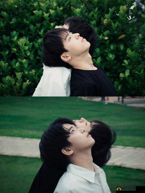 震惊两个男的竟然亲了，这背后到底有着怎样不为人知的故事？