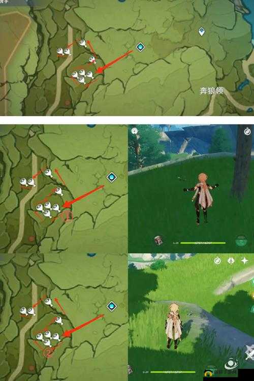 原神手游怎么抓蜥蜴？蜥蜴尾巴获取方法介绍