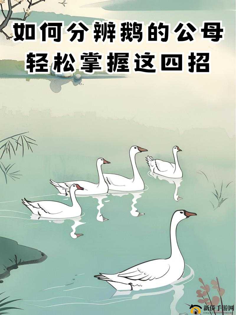 微信长鹅奔月在哪里能玩？进入方法与技巧分享