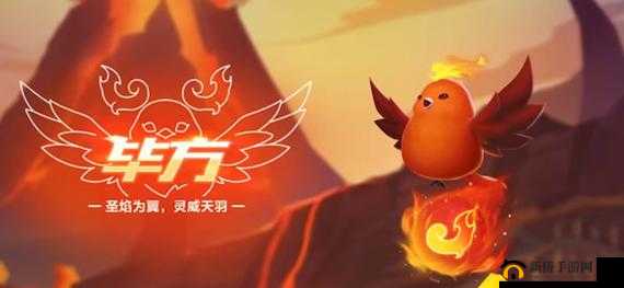 QQ飞车手游毕方怎么获得？金秋萌宠技能介绍——演变史专题