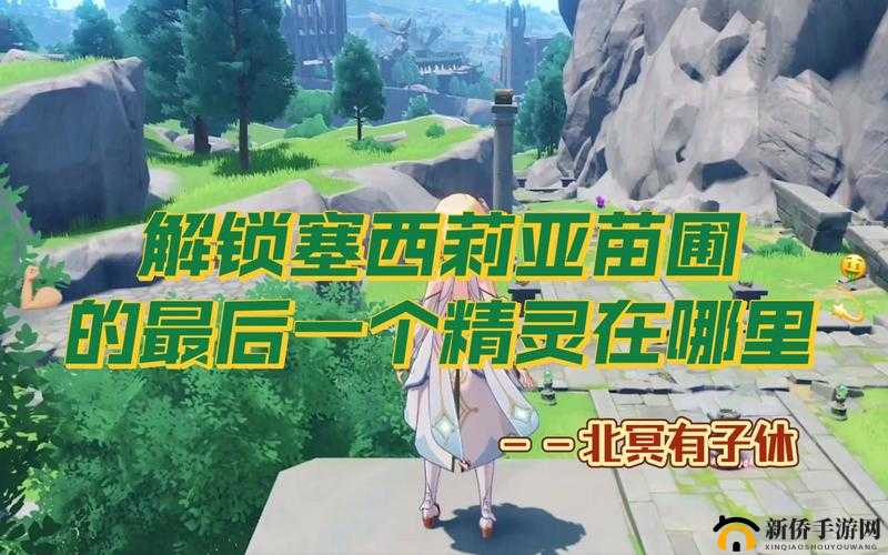 原神塞西莉亚苗圃怎么开？风墙解锁攻略