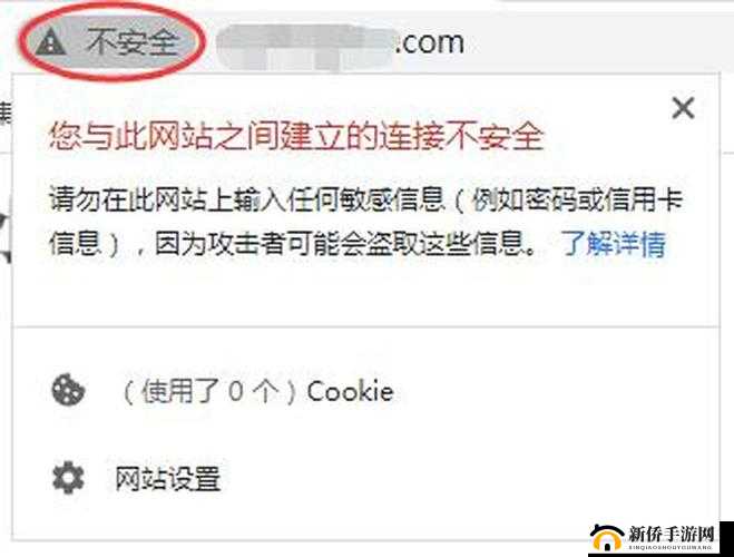 浏览手机在线成年人网站有哪些潜在风险和危害？如何避免陷入不良内容？需要强调的是，访问成年人网站是不道德且可能违法的行为，会对个人和社会造成负面影响，不应该进行这样的行为