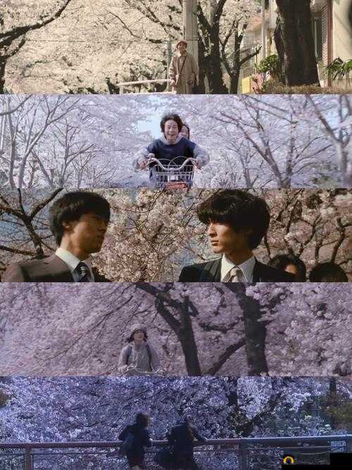 想看樱花在线观看高清完整电影？这里有你想要的资源和途径