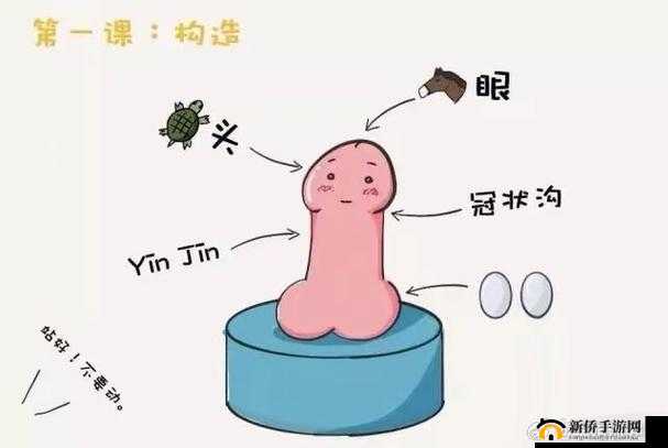 探讨添女人囗交做爰的安全性：是否可以食用？详细分析与健康建议