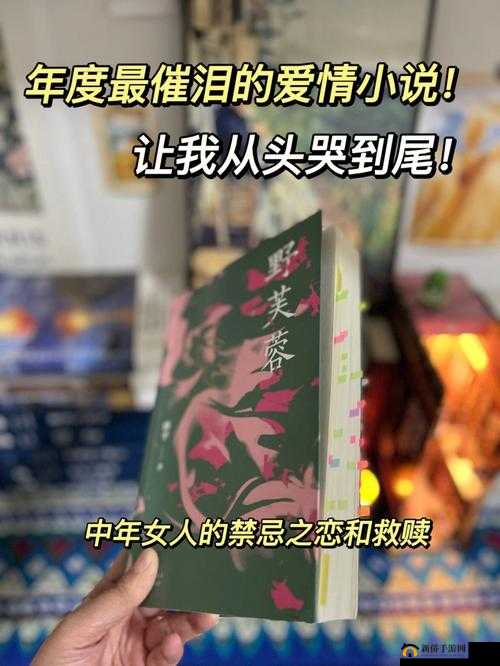 和你倾说爱情全文免费阅读，哪里可以找到？快来一起探讨