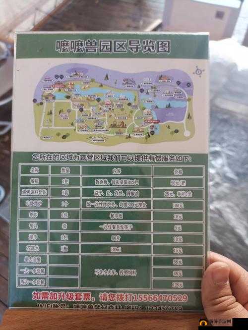 萌趣医院怎么玩？新手入门少走弯路指南