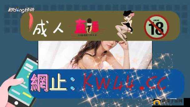 ❤爱情岛论坛 vip 永久入口：探寻爱情的神秘之地