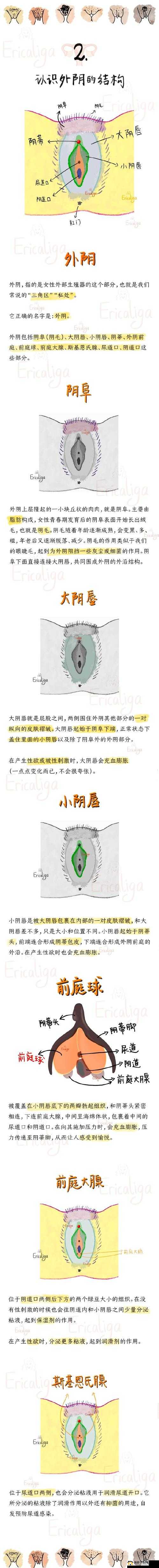 性XXX摘花过程XXXXHD是怎样的?深入剖析这一独特过程全揭秘