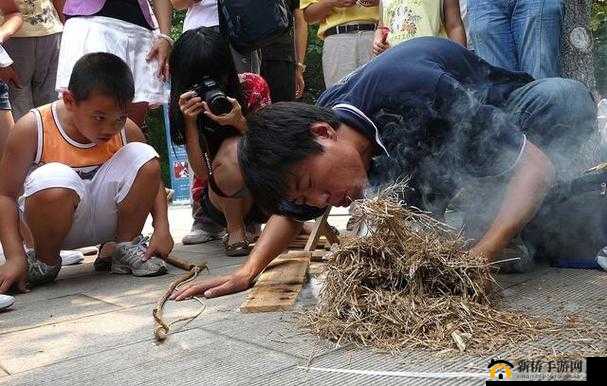 古代人生怎么抓好蛐蛐？一品促织捕捉特殊技巧