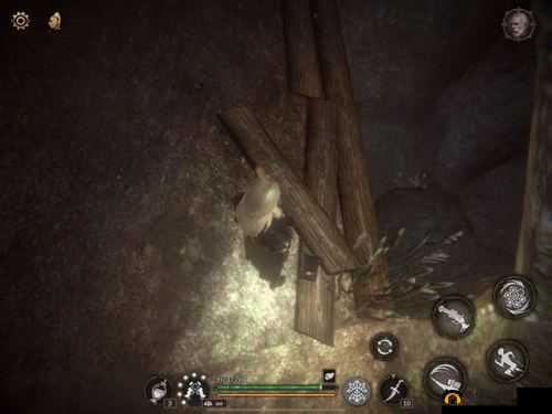 帕斯卡契约青蛙都在什么地方有？各地图青蛙赫吉收集位置