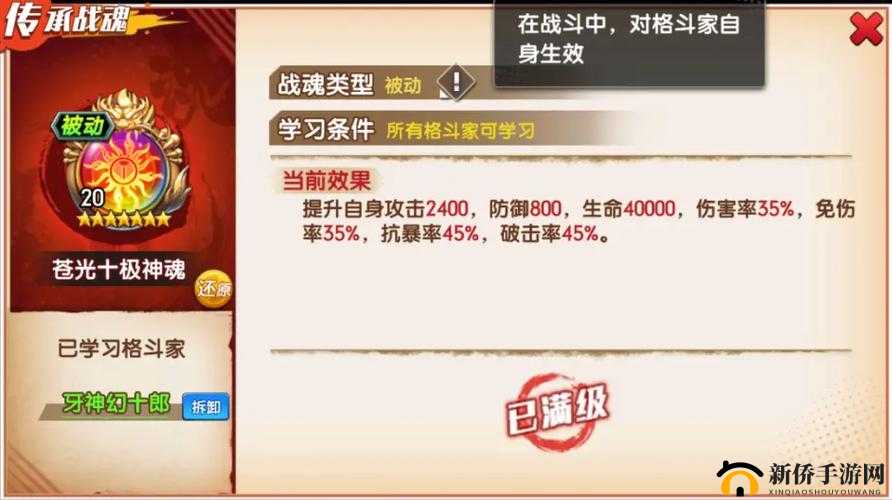 拳魂觉醒战魂搭配与获取攻略，深度解析与实战建议