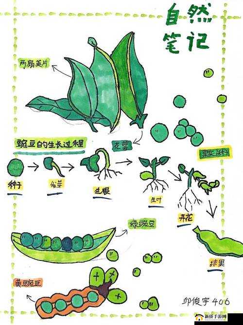 我的起源种子怎么种？快捷种植操作技巧分享