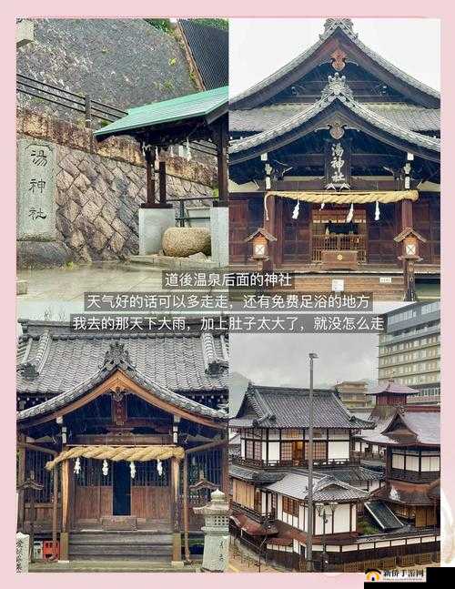 龙族幻想爱媛县拍照点在哪？爱媛县异闻风景点介绍