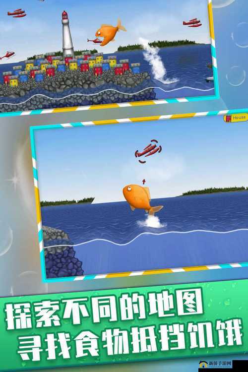 美味深蓝，换鱼新纪元——从鲨鱼到海豚的游玩方式革命及未来预测