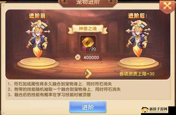 驯龙物语如何快速升级？新手等级榜冲榜攻略