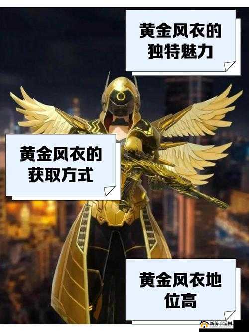 和平精英黄名怎么回事？角色名称显示颜色变化原因[视频]全解析