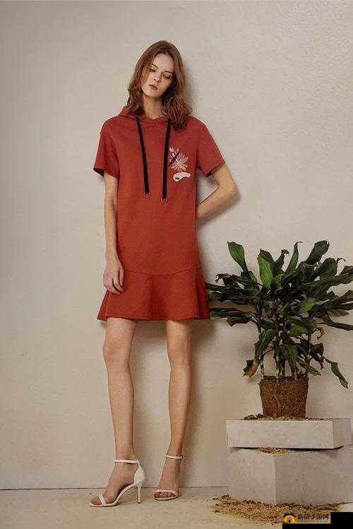 圣裁终焉艾尔丽斯怎么样？神罚艾尔丽斯人物介绍及玩法革命预测