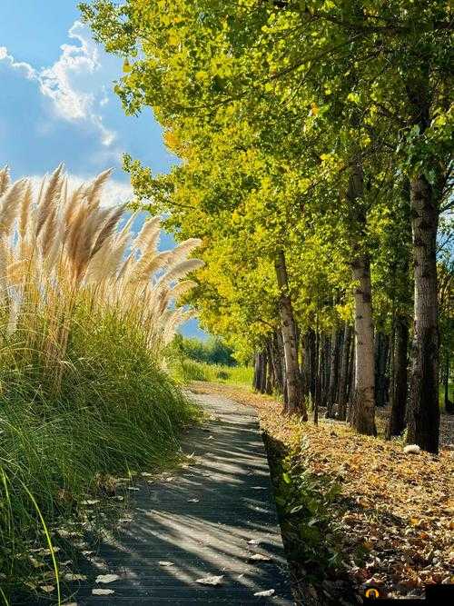 云梦四时歌芦苇荡在哪？芦苇荡场景进入攻略[视频]