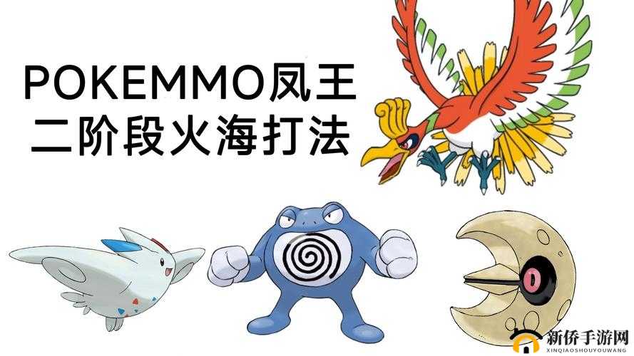 凤王技能搭配与配招心得分享