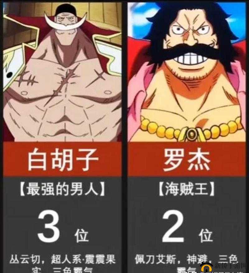 航海王启航热门人物角色大全 实测战斗力站位分析及未来玩法革命预测