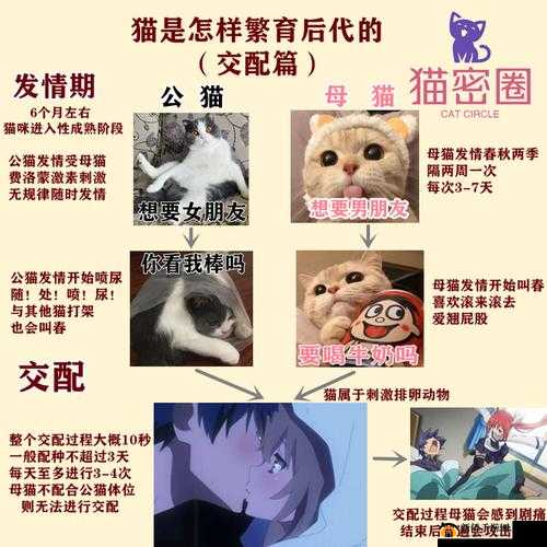 一起来捉妖专属猫繁育时长是什么决定的？恢复时间判断依据[视频]