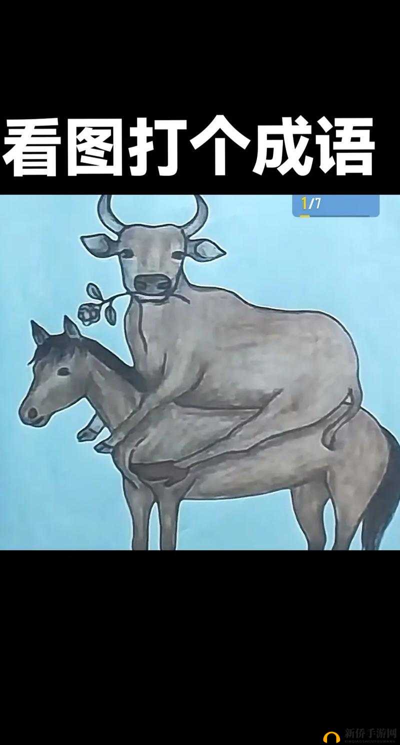 疯狂猜成语,探索往这边走和一匹马背后的智慧与资源管理