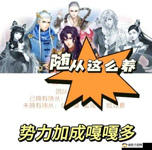 魔法X弹幕手游随从攻略,最强随从推荐与资源管理