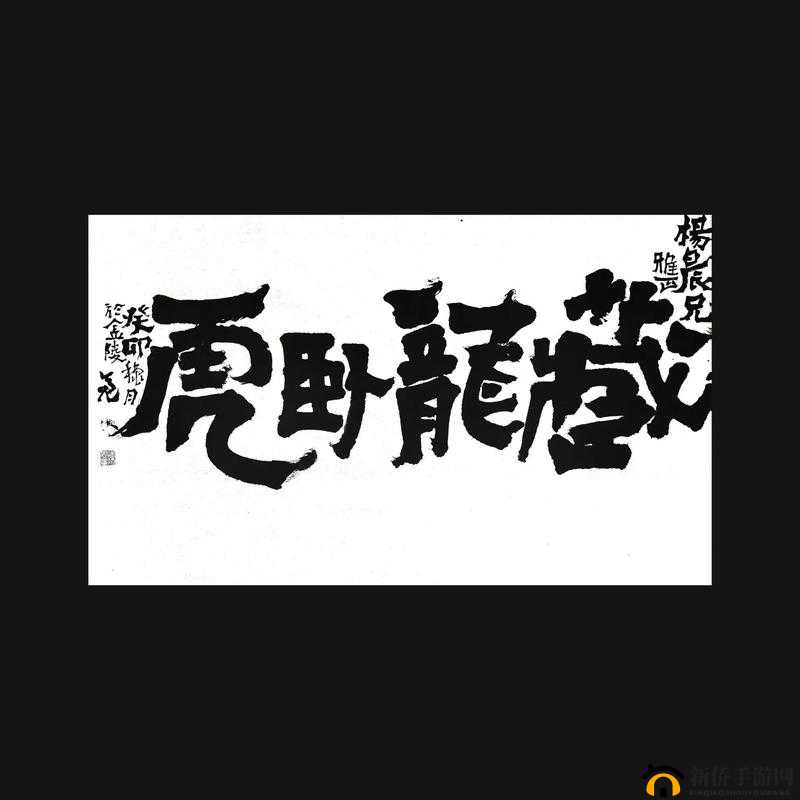卧虎藏龙玄阴柔劲是否需以刚猛内力为交换?探究至柔武学背后的隐秘代价与平衡之道