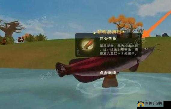 创造与魔法鲅鱼在仙女河用什么钓,资源管理、技巧、避免浪费与最大化价值
