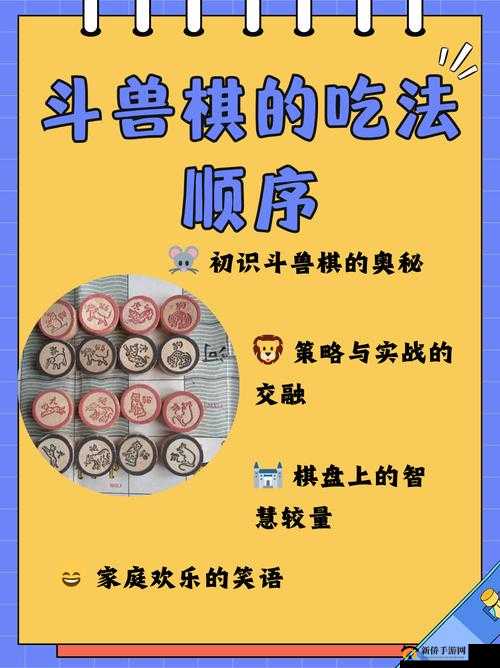 斗兽棋，生物链规则下的智慧较量